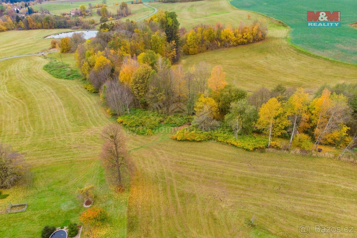 Prodej zemědělský pozemek - Liberk, 517 12, 1 458 m²