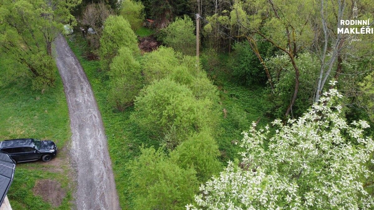 Prodej pozemek pro bydlení - Hanušovice, 788 33