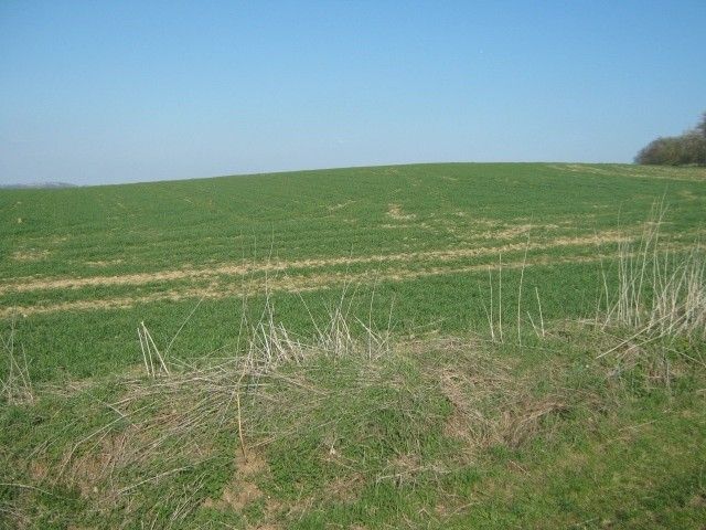 Prodej pozemek - Bystřice u Benešova, 257 51, 7 069 m²