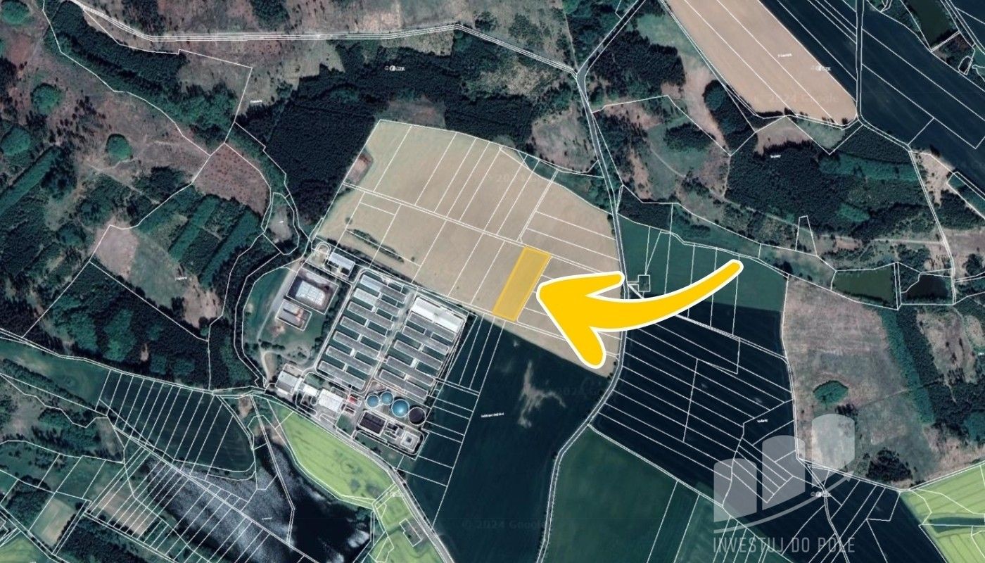 Prodej zemědělský pozemek - Jívoví, 6 000 m²