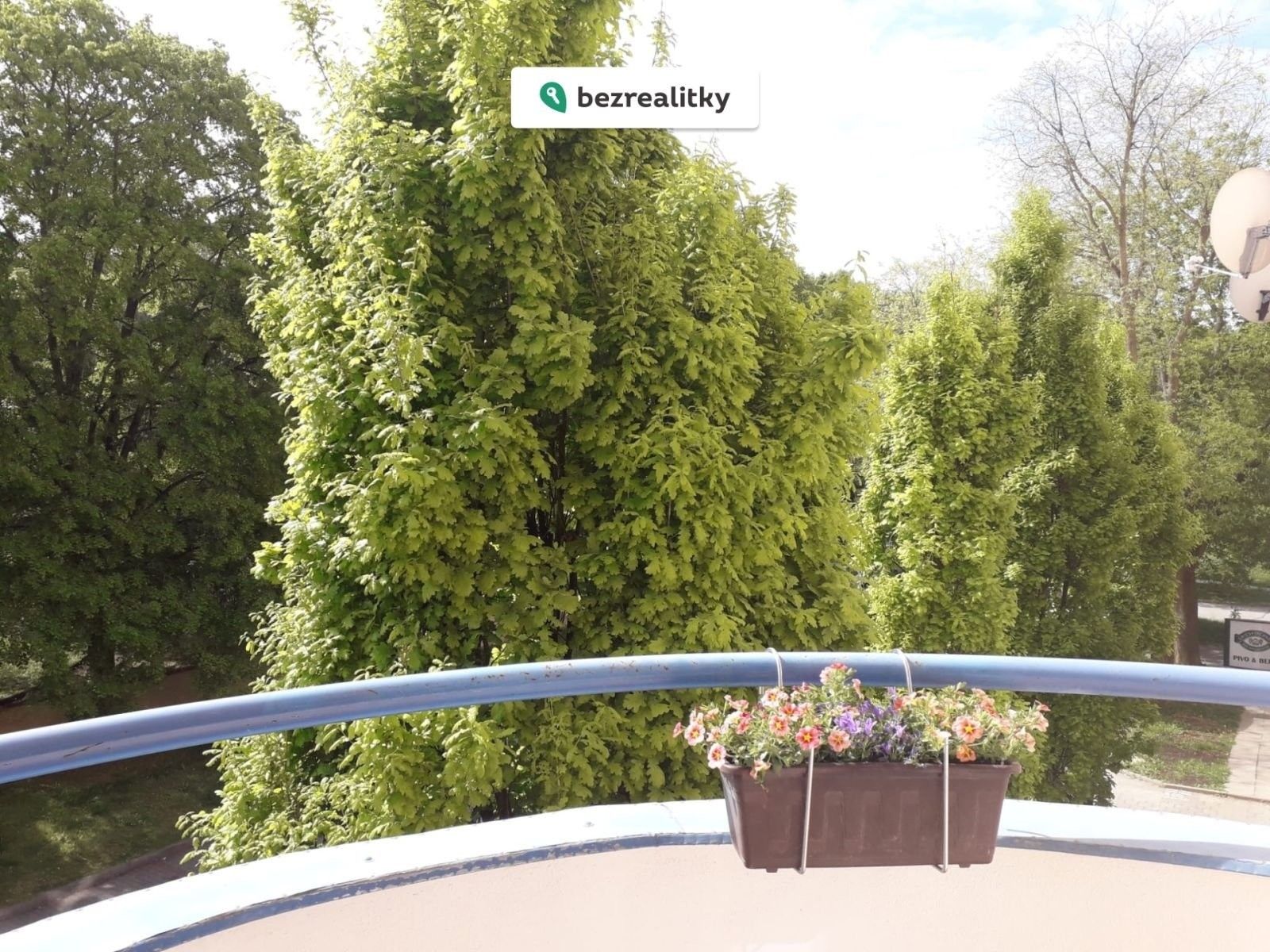 1+kk, Živného, Brno, 34 m²