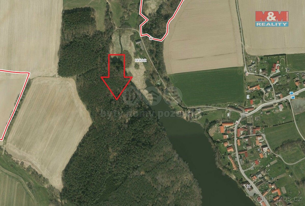 Prodej les - Bernartice u Milevska, 398 43, 5 318 m²