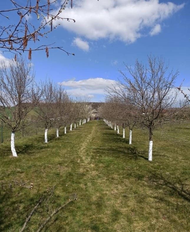 Pozemky pro bydlení, Uherský Brod, 688 01