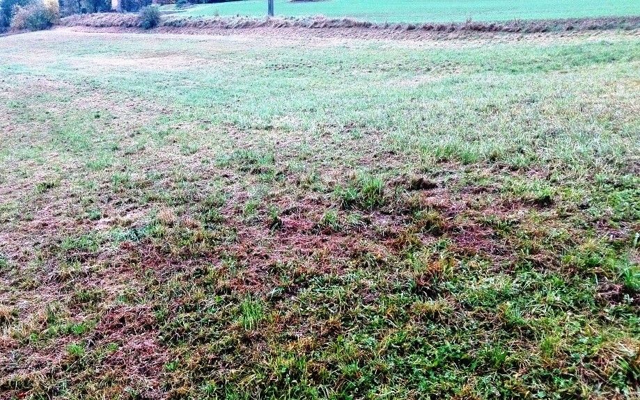 Pozemky pro bydlení, Líšnice, 789 85