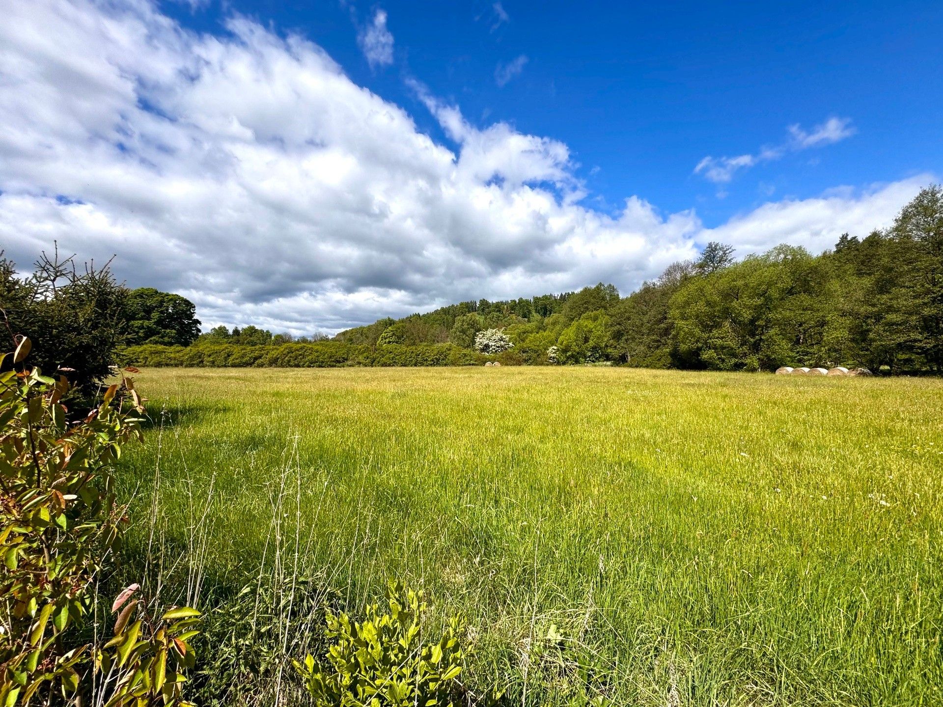Zemědělské pozemky, Ústí, Kočov
