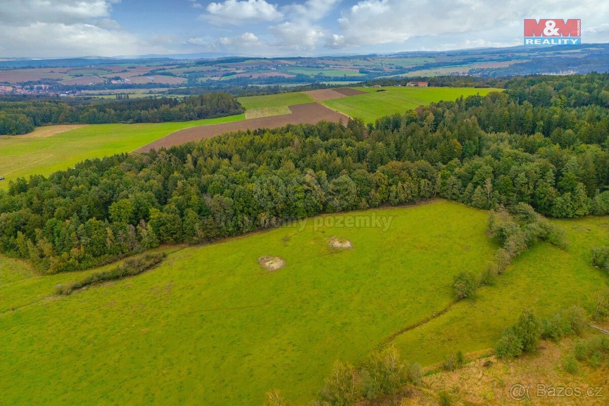 Zemědělské pozemky, Spálené Poříčí, 335 61, 5 843 m²