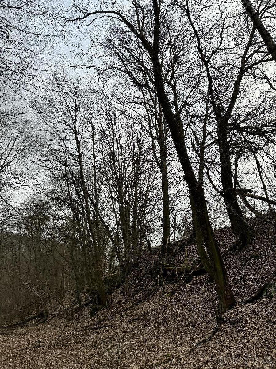 Pozemky pro bydlení, Doksy, 472 01