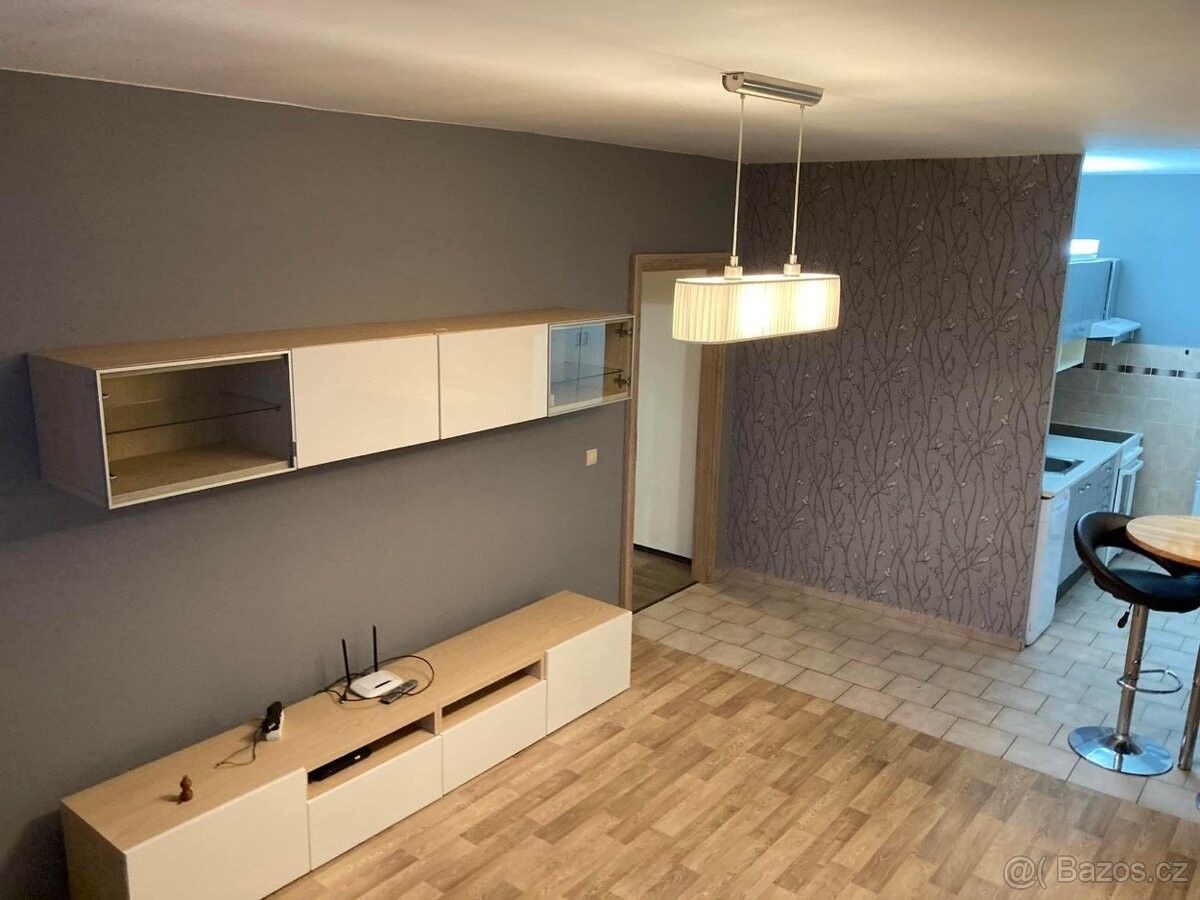 Ostatní, Mladá Boleslav, 293 01, 45 m²