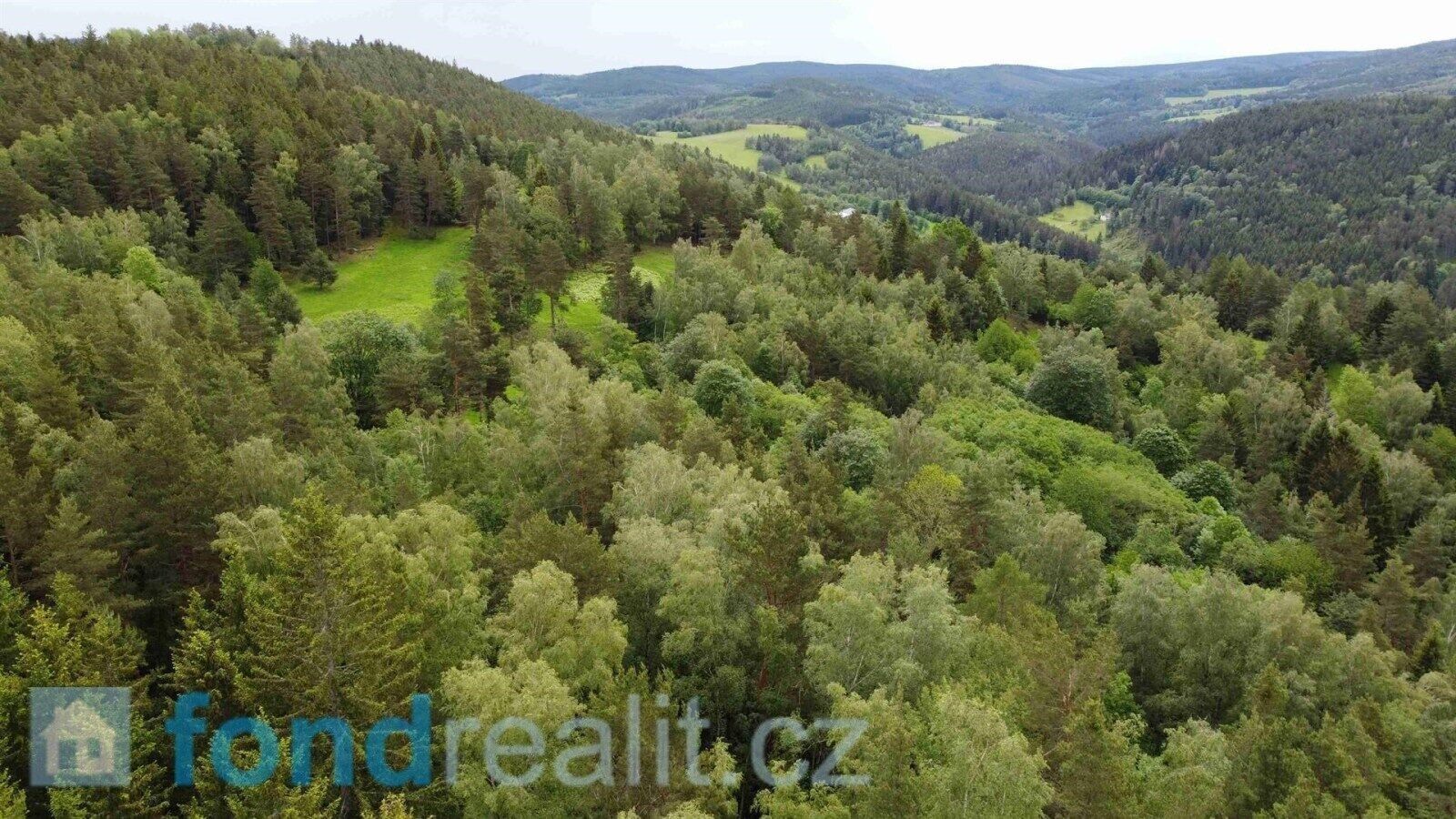 Prodej zemědělský pozemek - Rejštejn, 5 656 m²