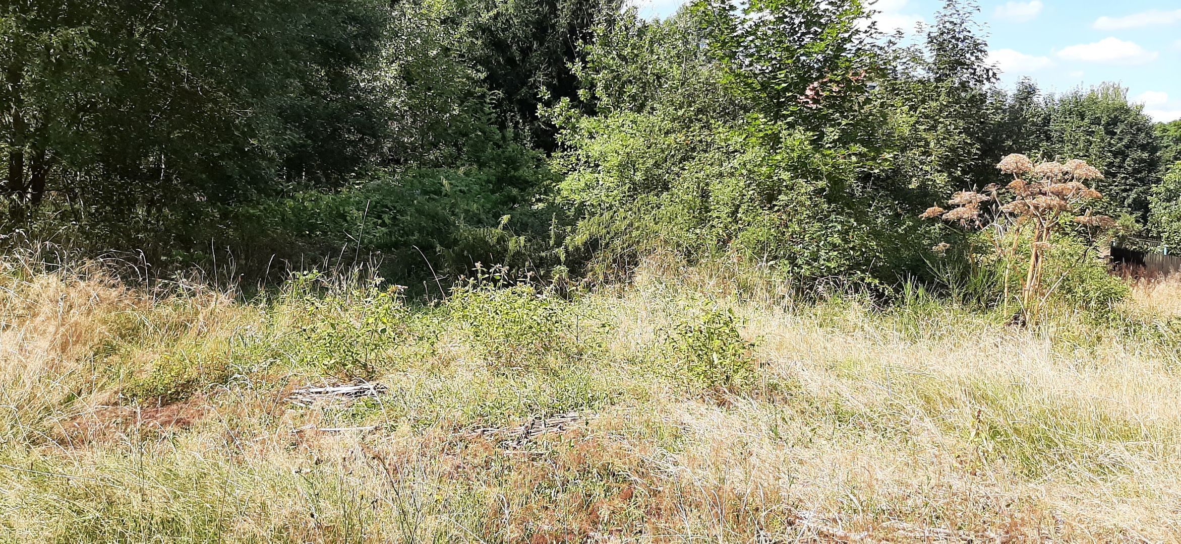 Komerční pozemky, Lomnička, Plesná