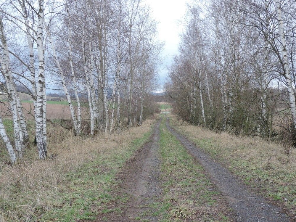 Zemědělské pozemky, Stráž pod Ralskem, 471 27, 2 616 m²