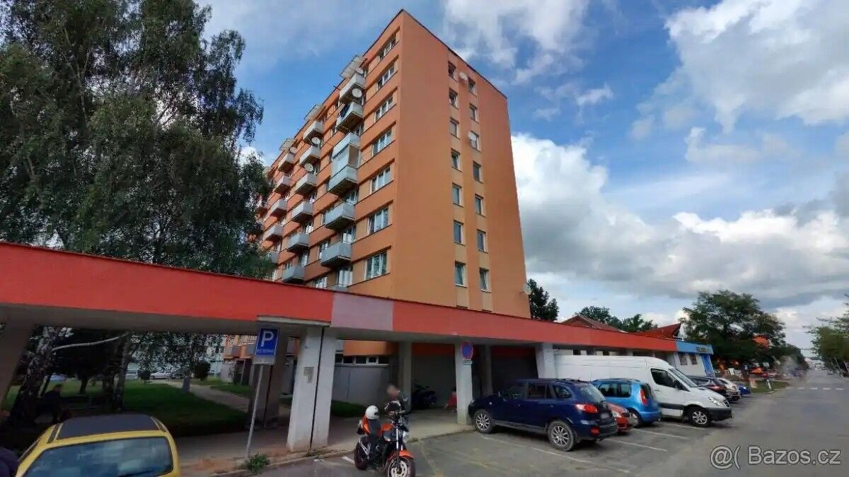 3+1, Vodňany, 389 01, 64 m²