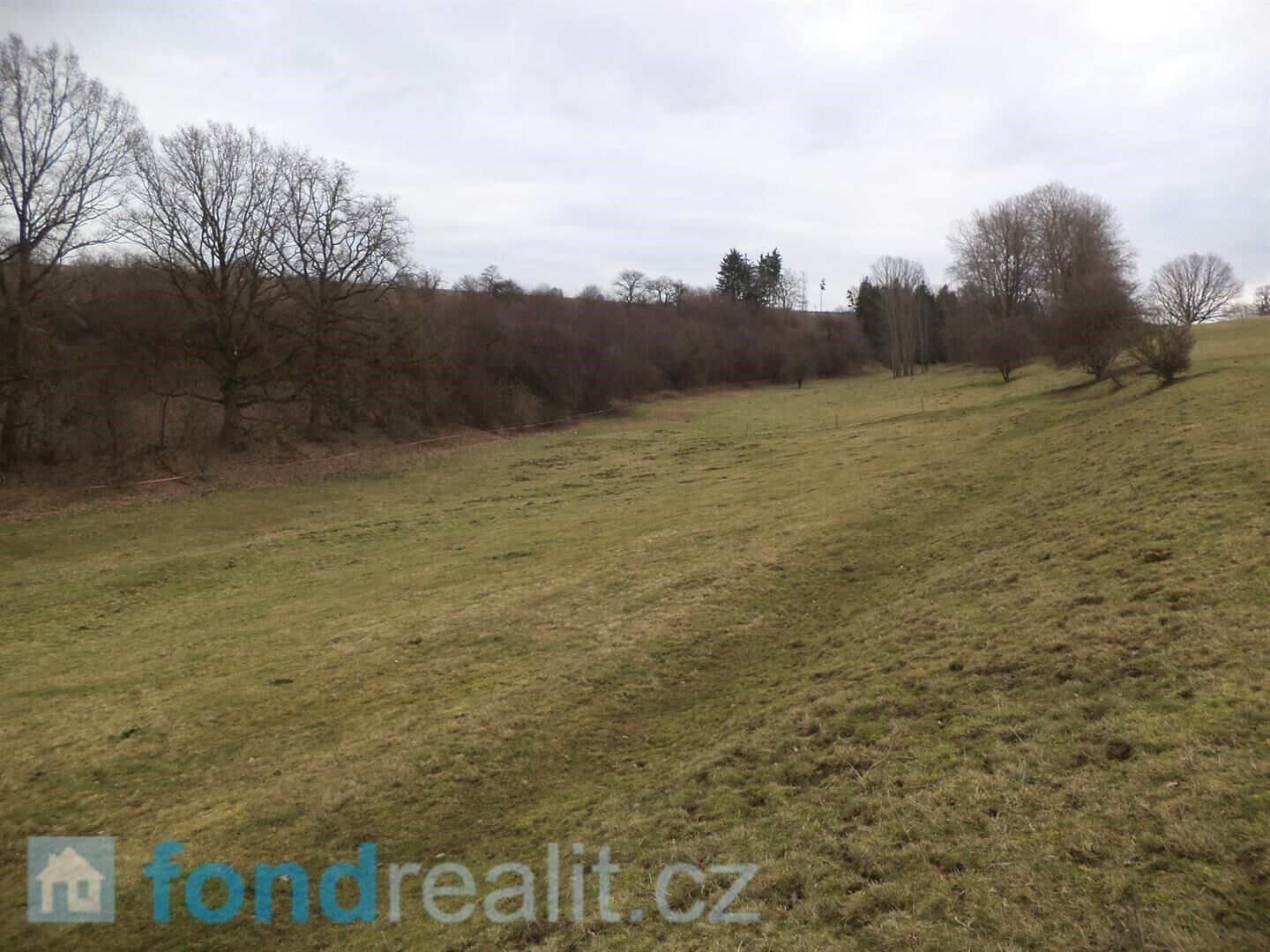 Prodej zemědělský pozemek - České Heřmanice, 13 970 m²