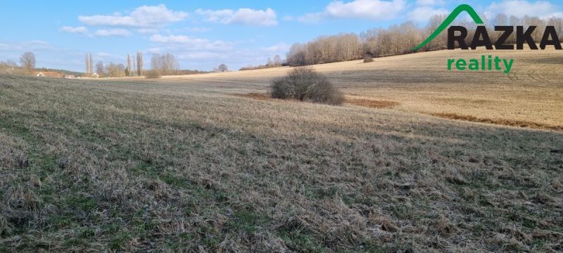 Prodej zemědělský pozemek - Halže