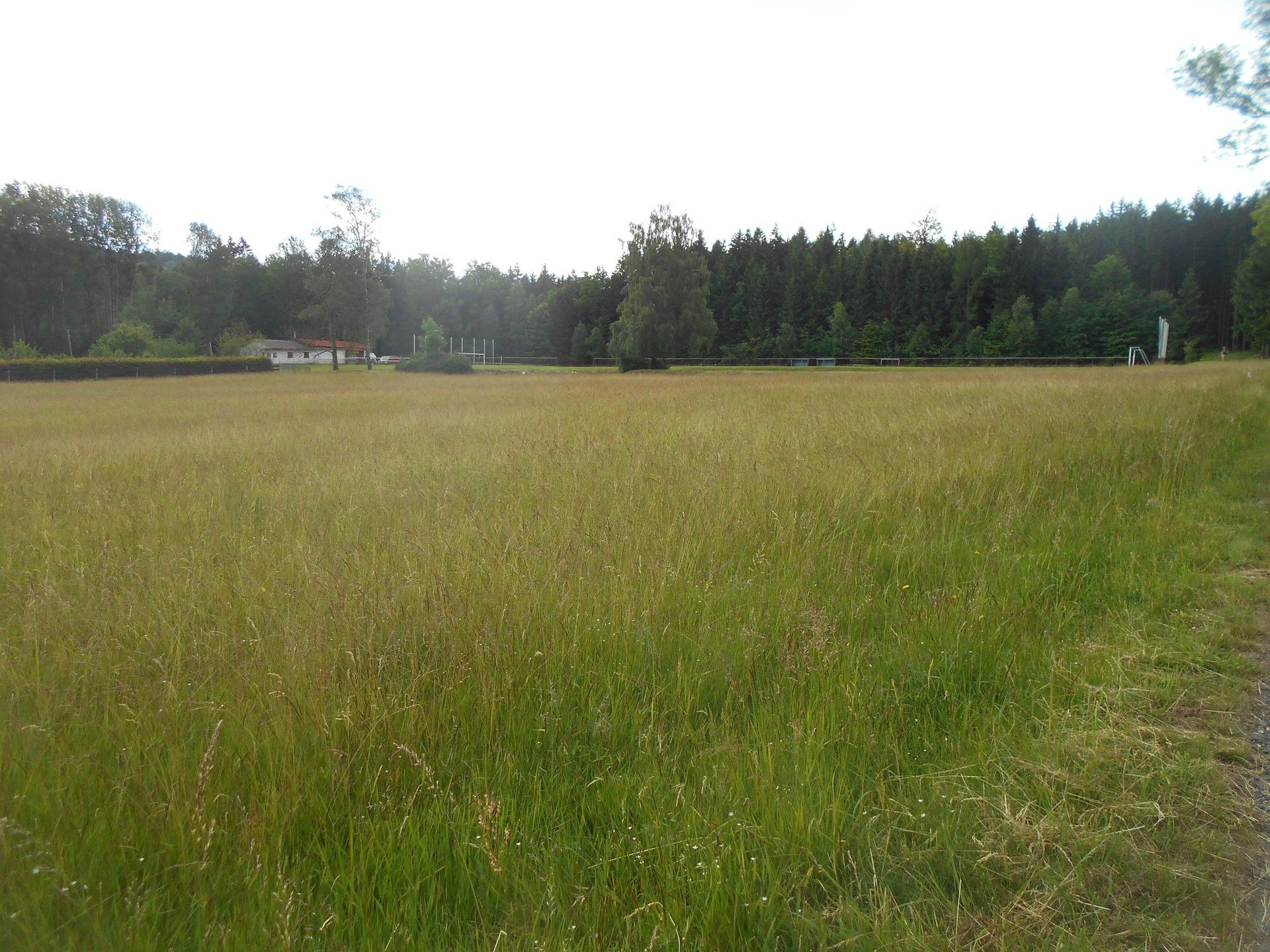 Pozemky pro bydlení, Rybniště