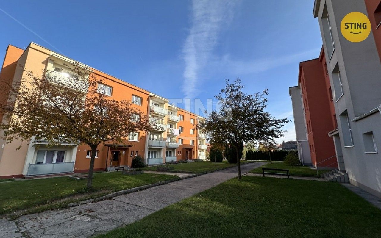 1+kk, Divišova, Třebíč, 29 m²