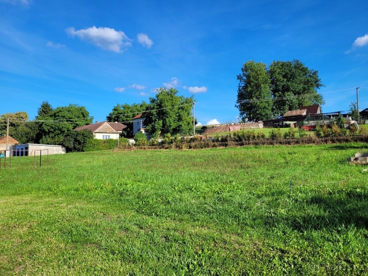 Pronájem zahrada - Horšovský Týn, 346 01, 1 100 m²