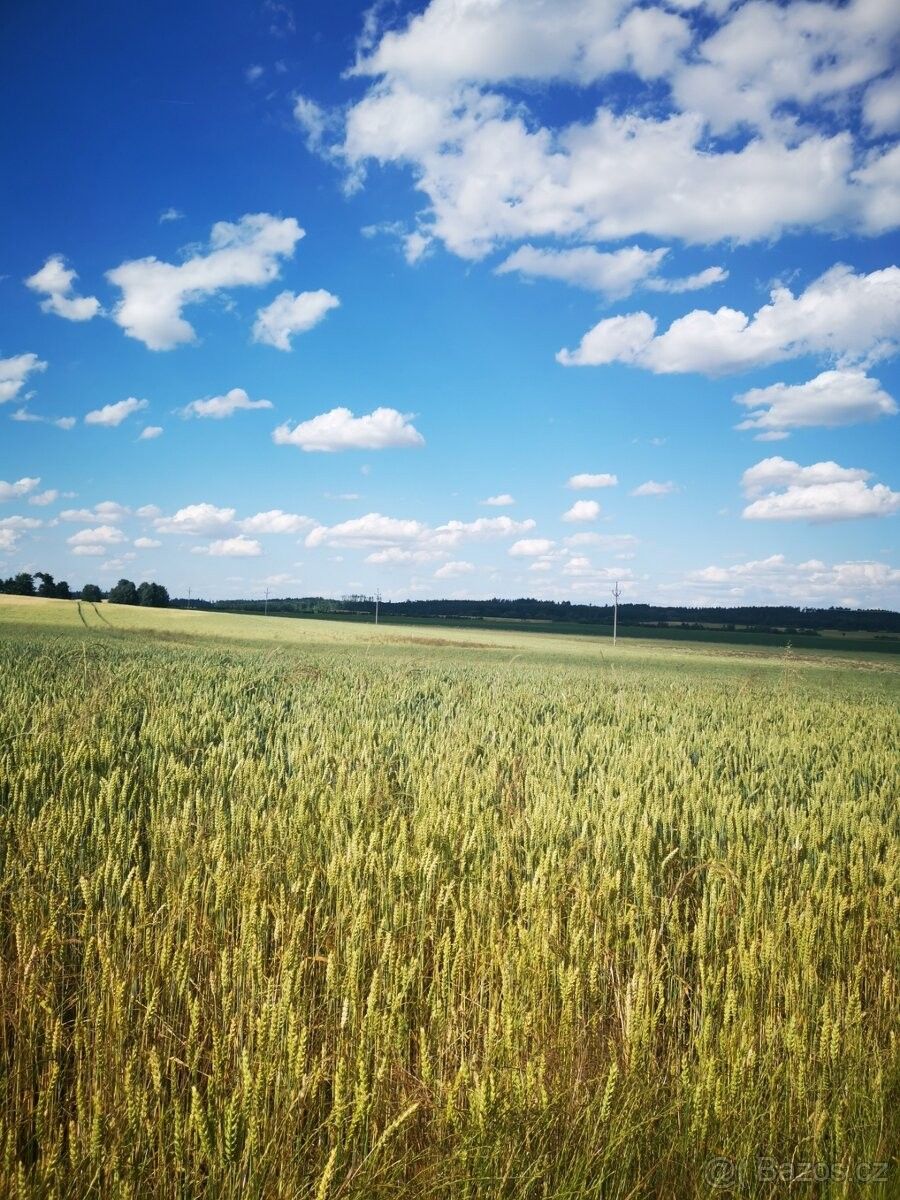 Prodej pozemek pro bydlení - Znojmo, 669 02