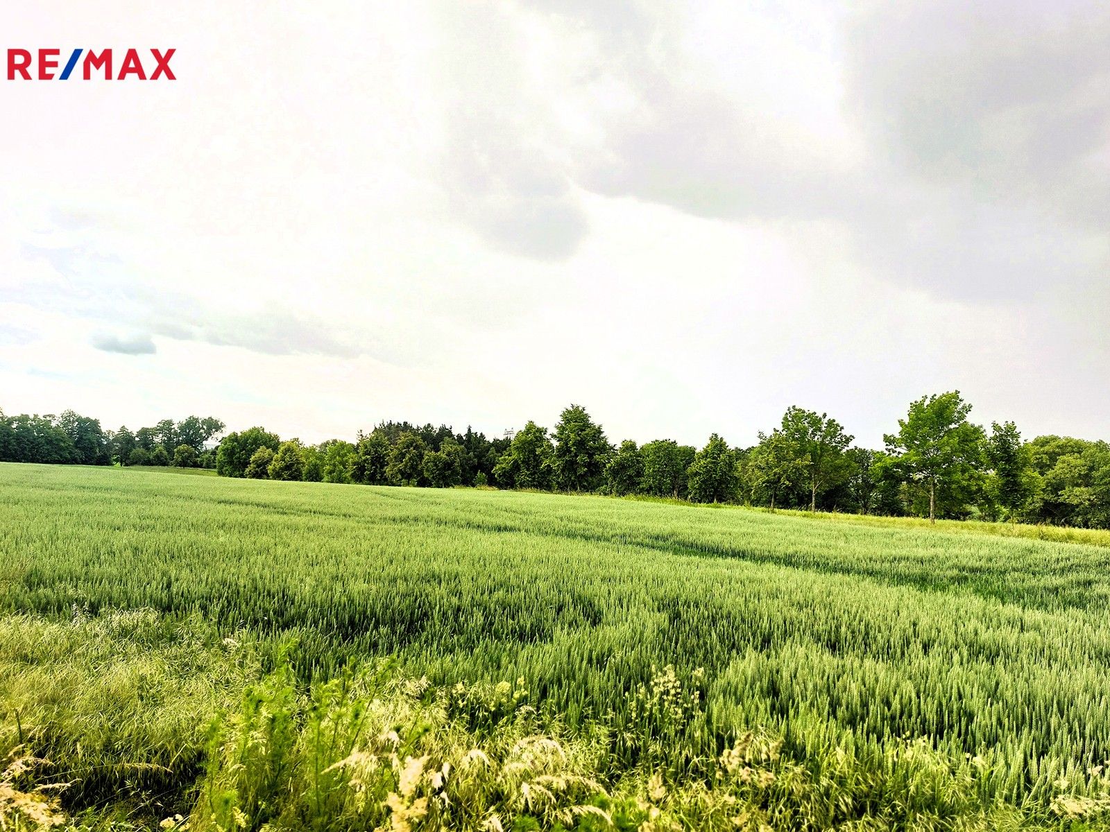 Prodej zemědělský pozemek - Praha, 22 m²