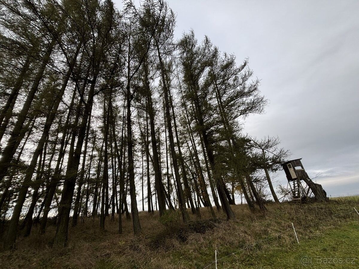 Pozemky pro bydlení, Horažďovice, 341 01