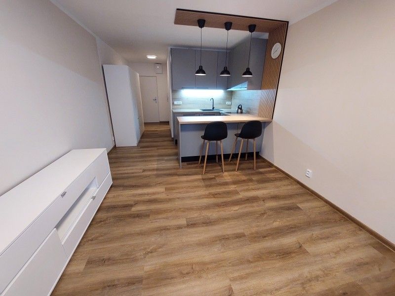 1+kk, Ruská, Liberec, 29 m²