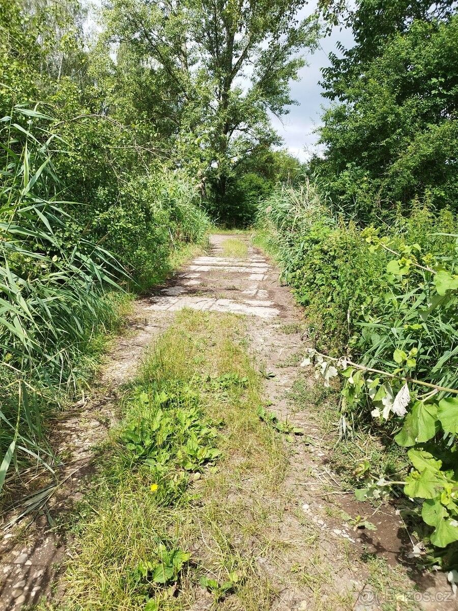 Prodej louka - Dřísy, 277 14, 6 600 m²