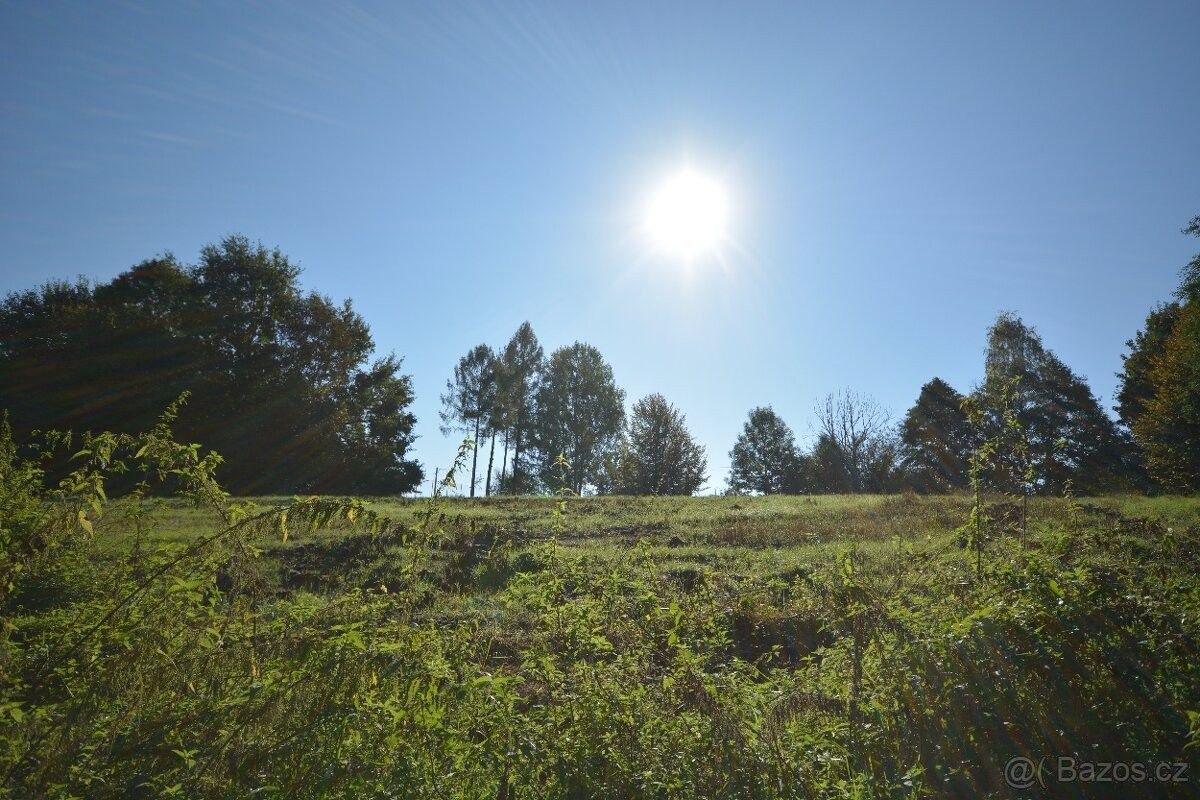 Pozemky pro bydlení, Orlová, 735 11, 9 743 m²