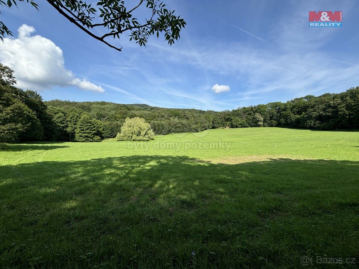 Prodej zemědělský pozemek - Třebenice, 411 13, 104 829 m²