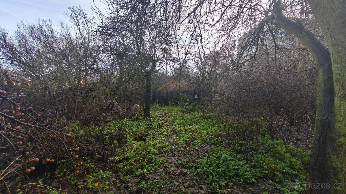 Zahrady, Obrnice, 435 21