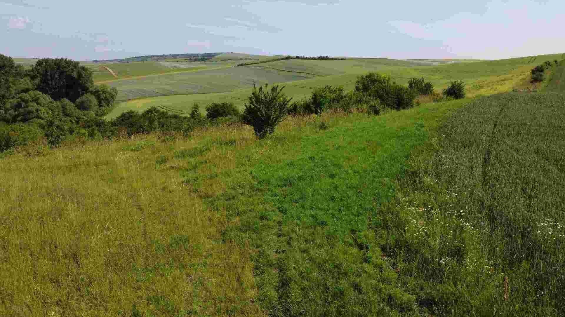 Zemědělské pozemky, Bučovice, 3 m²