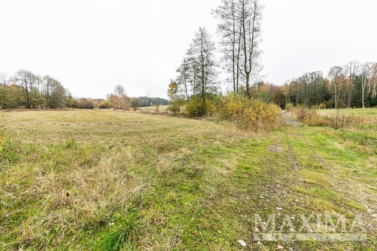 Prodej pozemek pro bydlení - Benešov u Prahy, 256 01, 9 571 m²