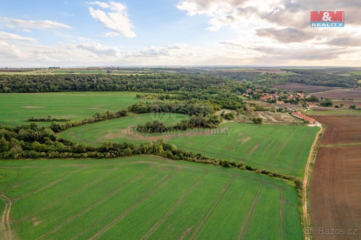 Prodej zemědělský pozemek - Roudnice nad Labem, 413 01, 8 272 m²