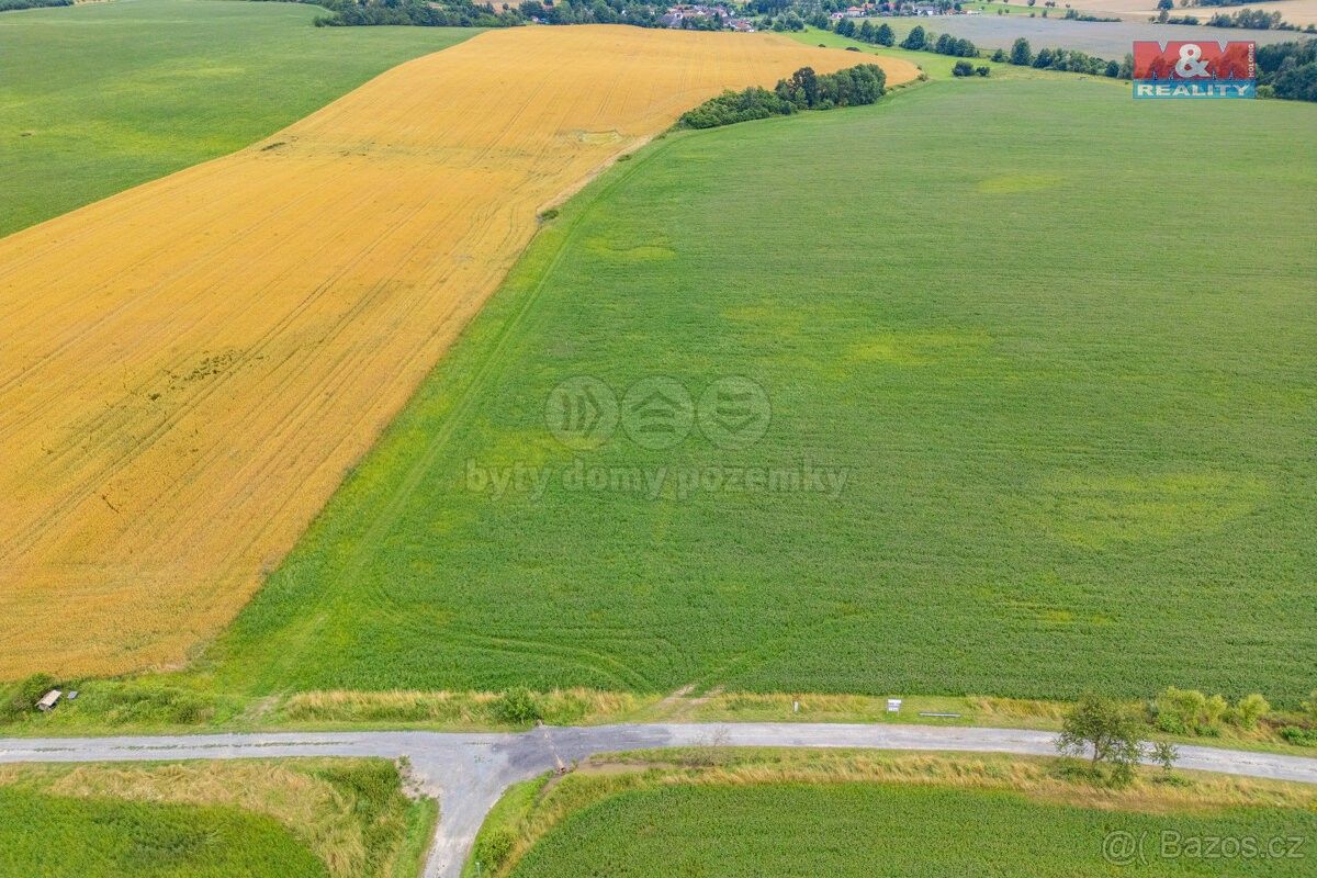 Prodej zemědělský pozemek - Dolní Bělá, 331 52, 5 000 m²