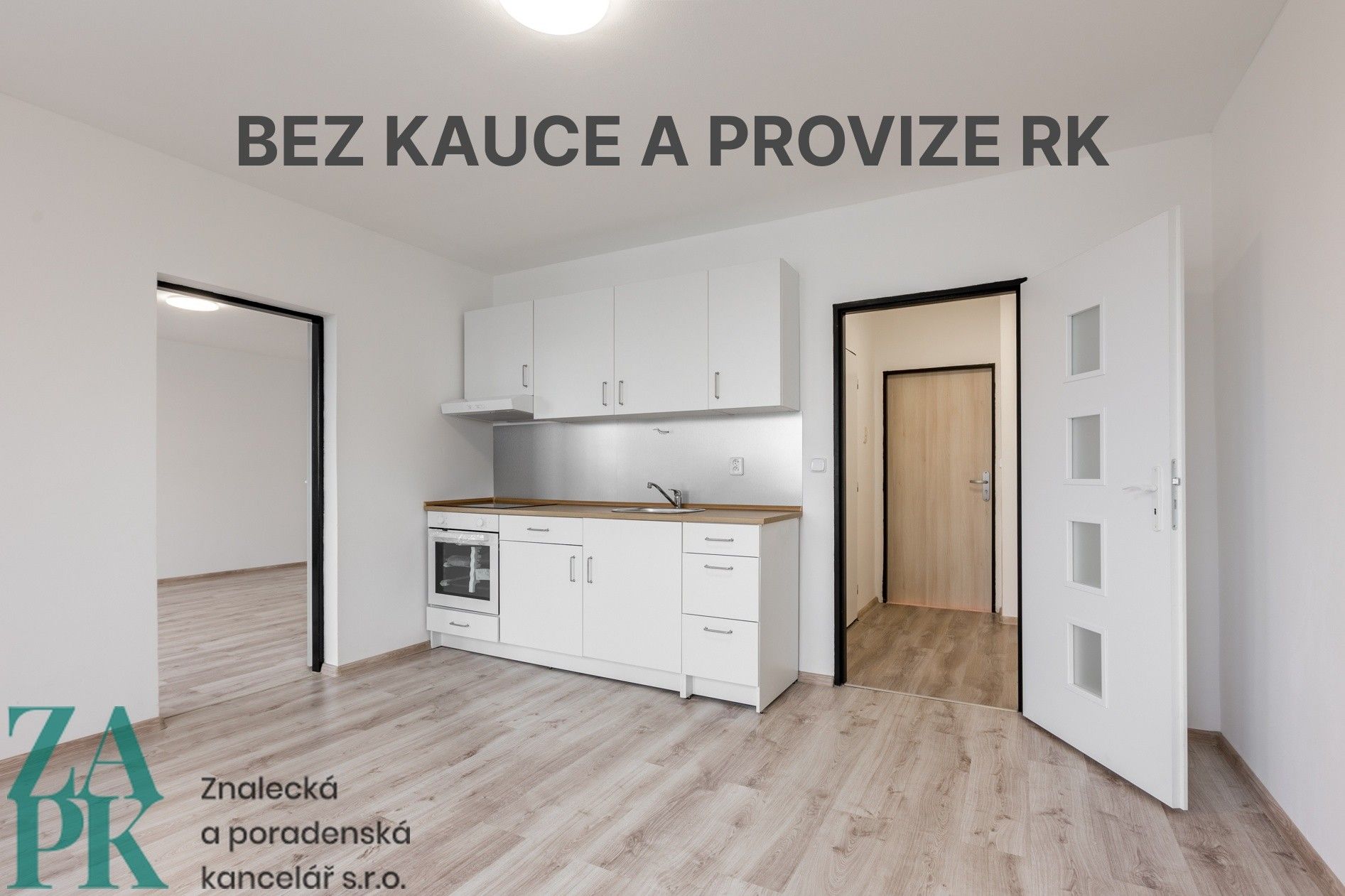 1+1, Purkyňova, Ústí nad Labem, 47 m²