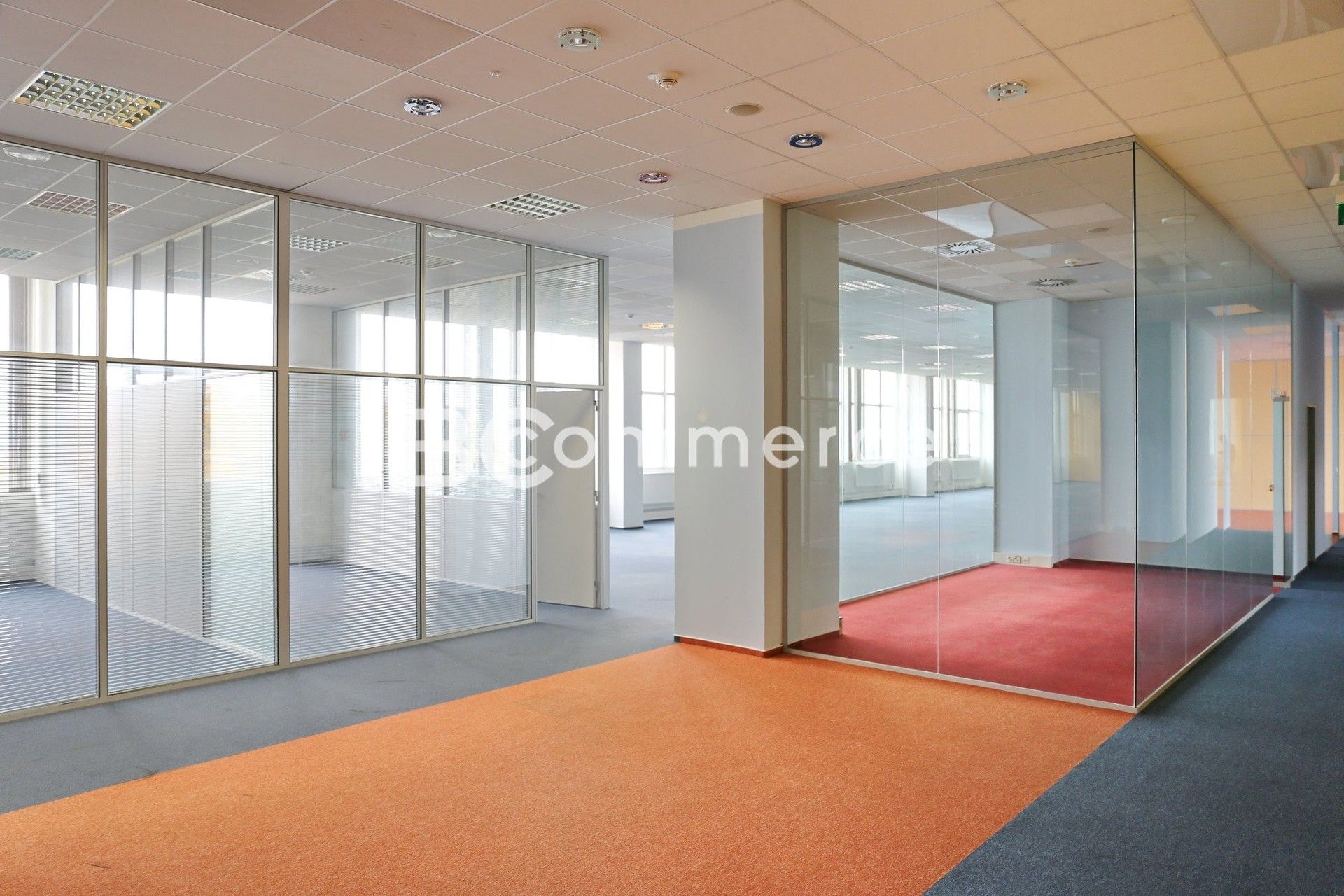 Kanceláře, Purkyňova, Brno, 700 m²