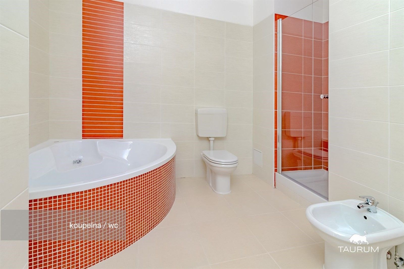 2+1, Rozvojová zóna, Janovice nad Úhlavou, 74 m²