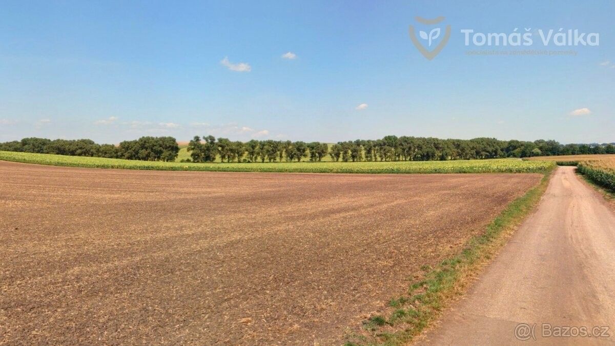 Pozemky pro bydlení, Diváky, 691 71