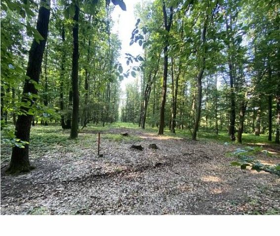 Pozemky pro bydlení, Brno, 602 00