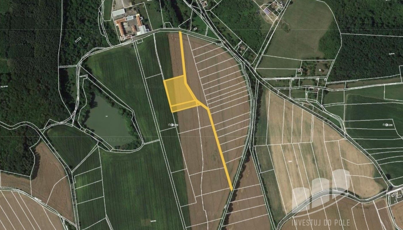 Prodej zemědělský pozemek - Lično, Bačalky, 5 553 m²