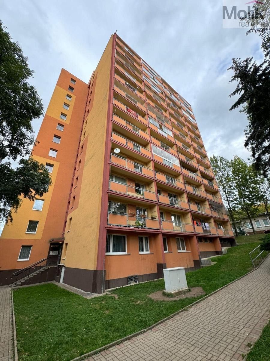 2+1, Pražské Předměstí, Bílina, 49 m²