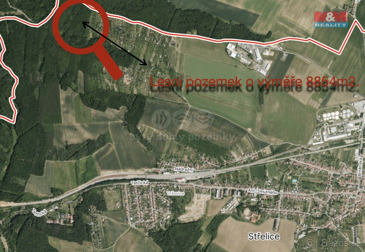 Lesy, Střelice u Brna, 664 47, 8 854 m²