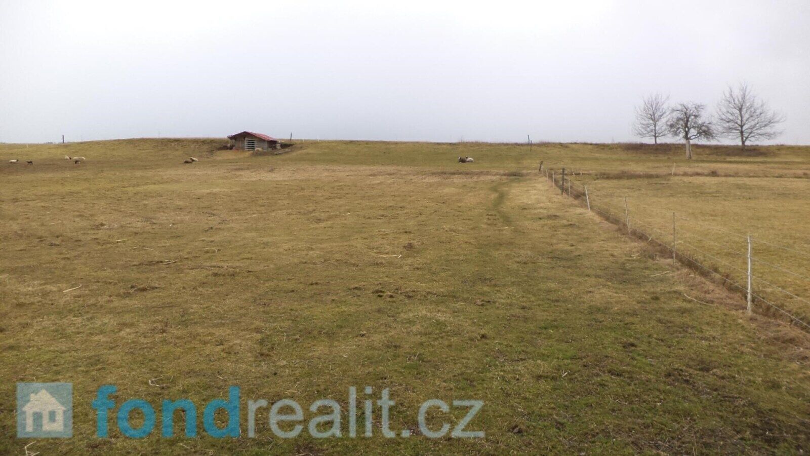 Prodej pozemek pro bydlení - Ločenice, 2 m²