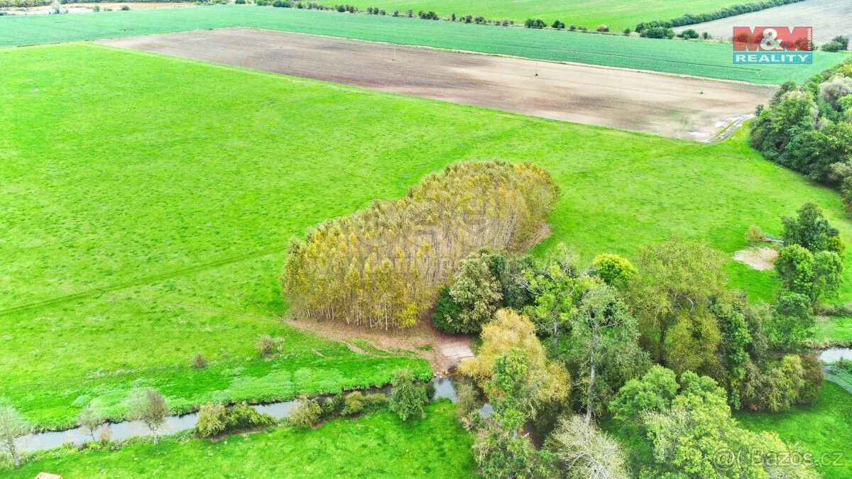 Prodej zemědělský pozemek - Skřivany u Nového Bydžova, 503 52, 1 461 m²