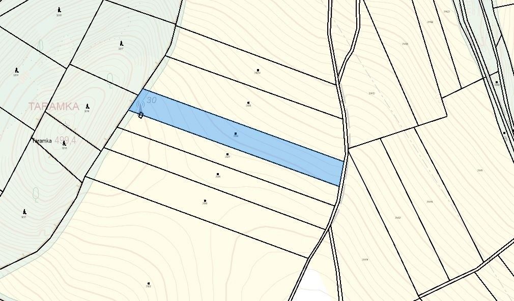 Prodej pozemek - Hvozd u Prostějova, 798 55, 5 300 m²