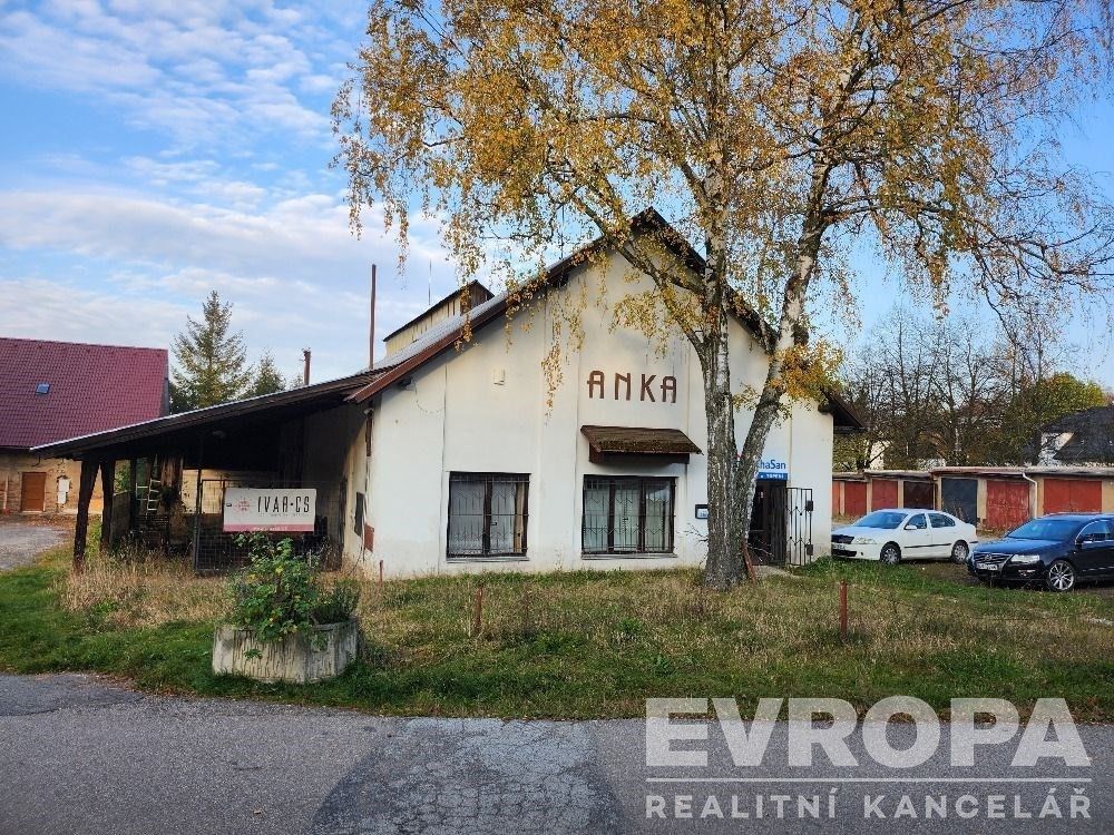 Obchodní prostory, Havlíčkův Brod, 650 m²