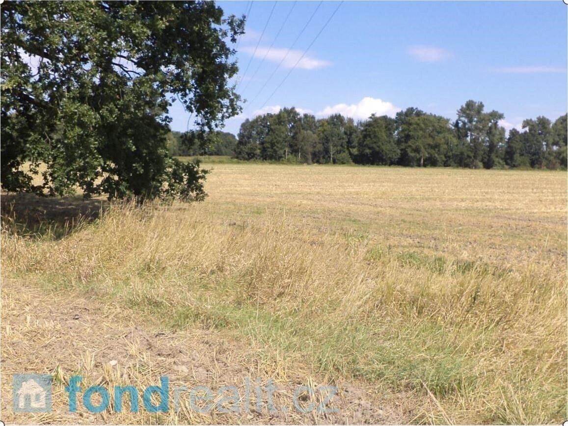 Zemědělské pozemky, Čejetice, 10 m²