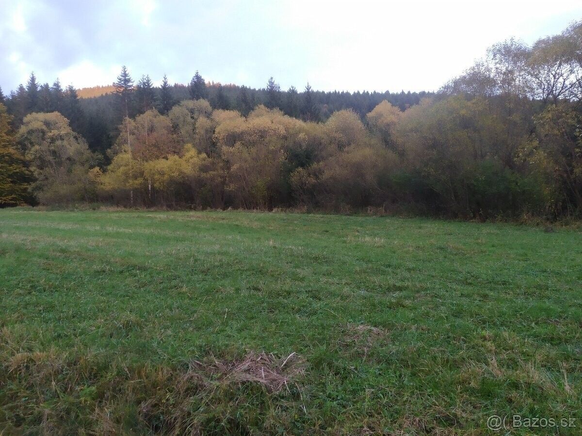 Prodej pozemek pro bydlení - Staré Hamry, 739 15, 1 800 m²