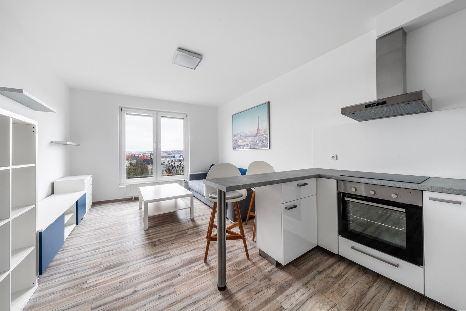 1+kk, Nemocniční, Plzeň, 29 m²