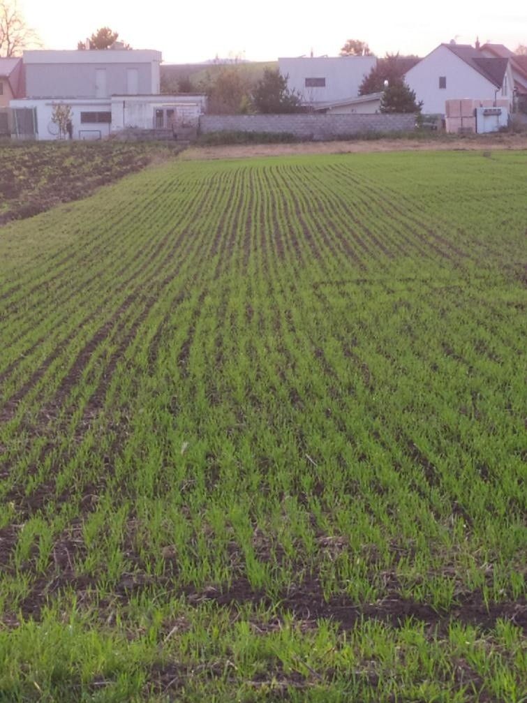 Pozemky pro bydlení, Sokolnice, 664 52