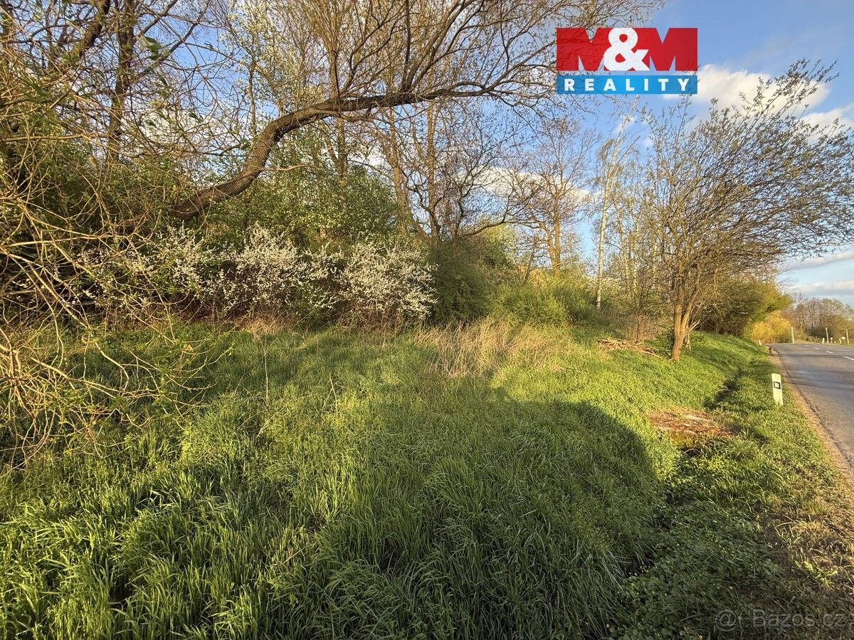 Pozemky pro bydlení, Choceň, 565 01